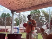Giant Beer Pong Unlimited Beer / Low Budget